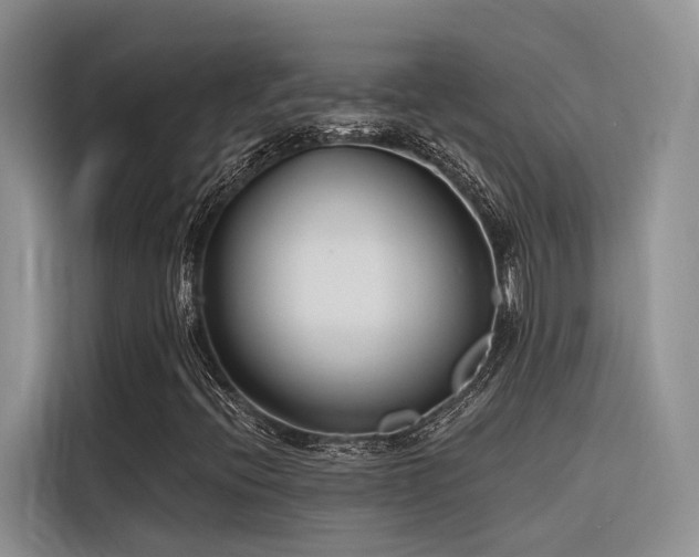 X0000116381396200912021510