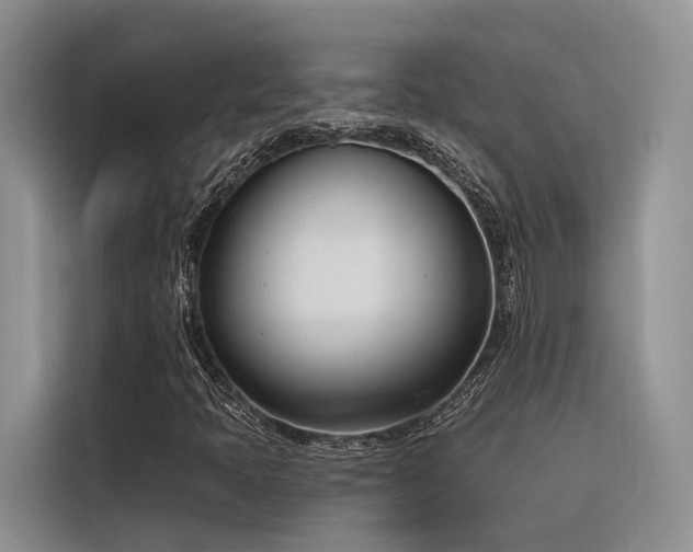 X0000116381397200912021510