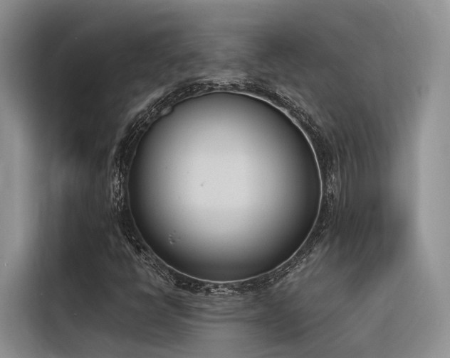 X0000116381398200912021510