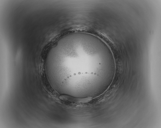 X0000116381399200912021510