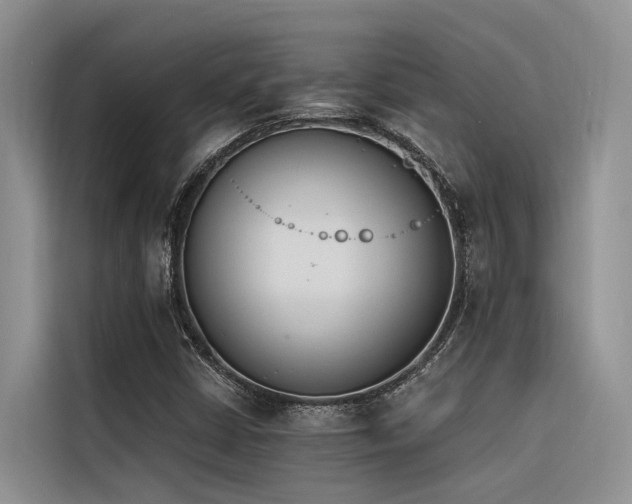 X0000116381402200912021510
