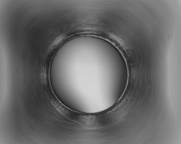 X0000116381403200912021510