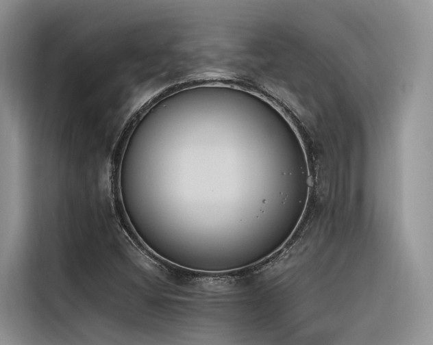 X0000116381404200912021510