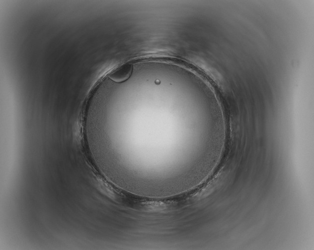 X0000116381405200912021510