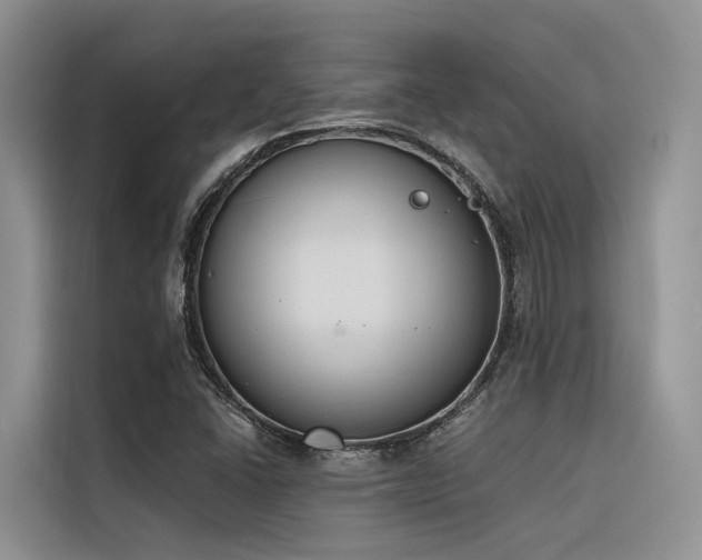X0000116381406200912021510