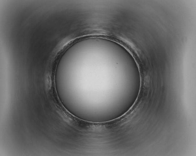 X0000116381407200912021510
