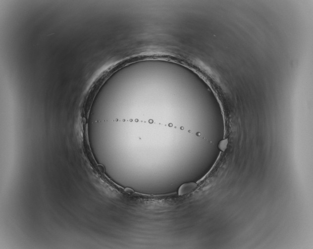 X0000116381408200912021510