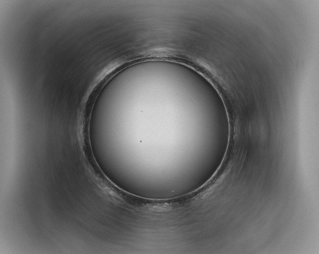 X0000116381410200912021510