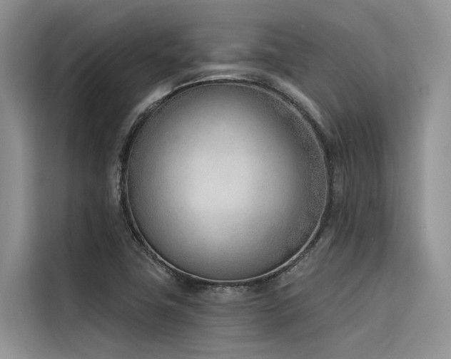 X0000116381411200912021510