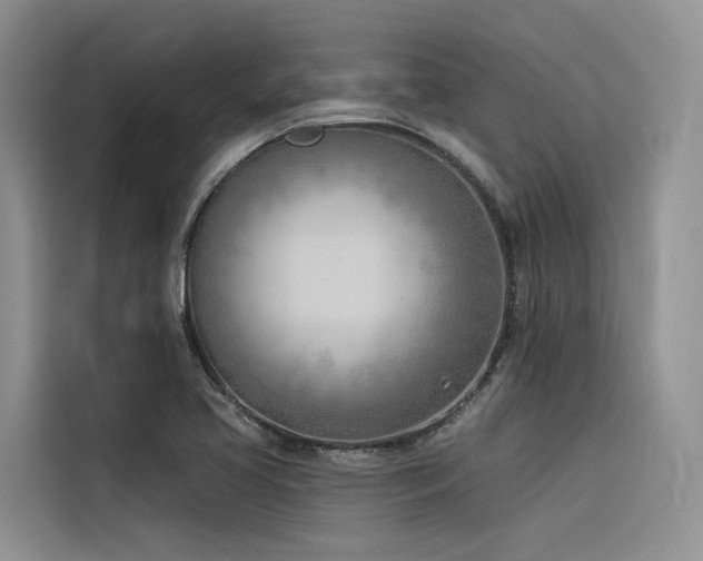 X0000116381413200912021510