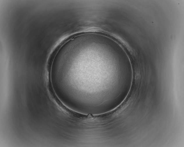 X0000116381414200912021510