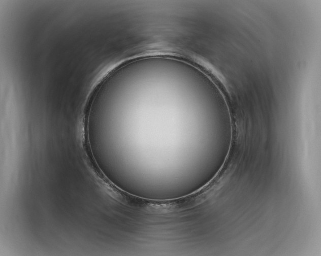 X0000116381415200912021510