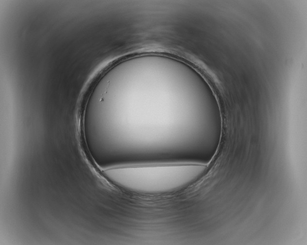 X0000116381416200912021510