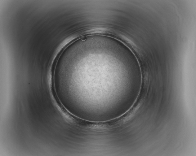 X0000116381418200912021510