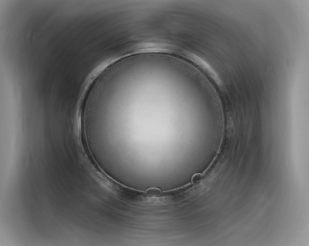 X0000116381419200912021510