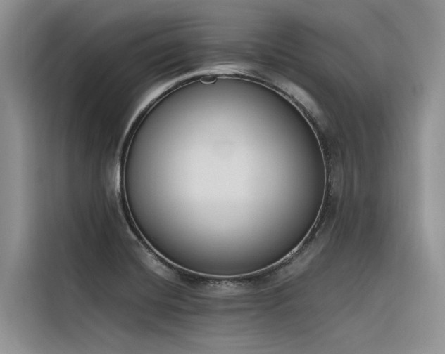 X0000116381420200912021510