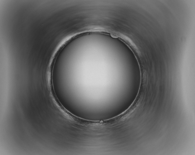 X0000116381424200912021510
