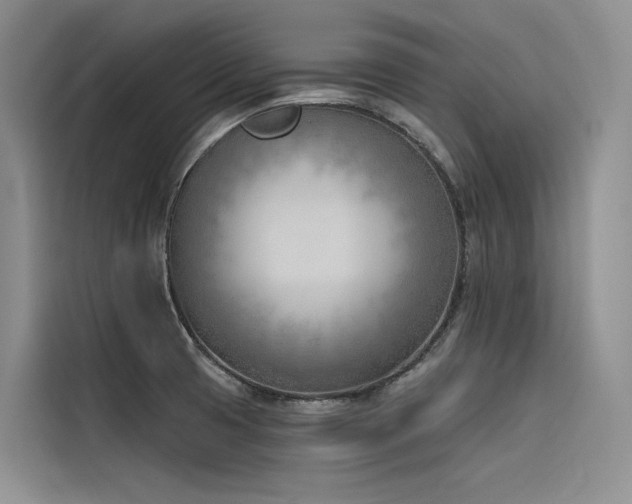 X0000116381425200912021510