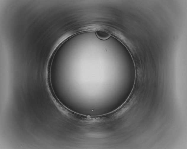 X0000116381426200912021510
