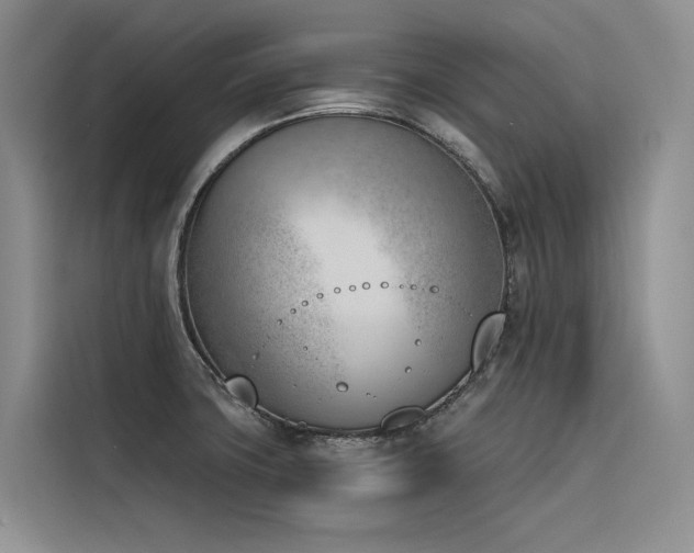 X0000116381427200912021510