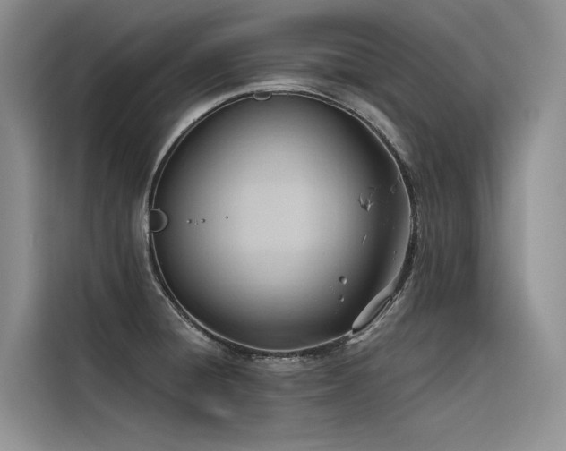 X0000116381428200912021511