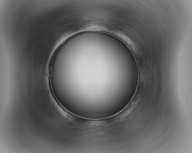 X0000116381430200912021511