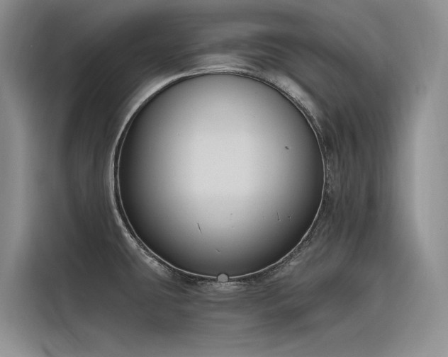 X0000116381431200912021511