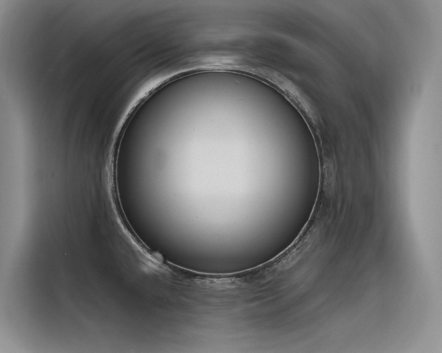 X0000116381432200912021511