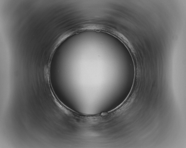 X0000116381433200912021511