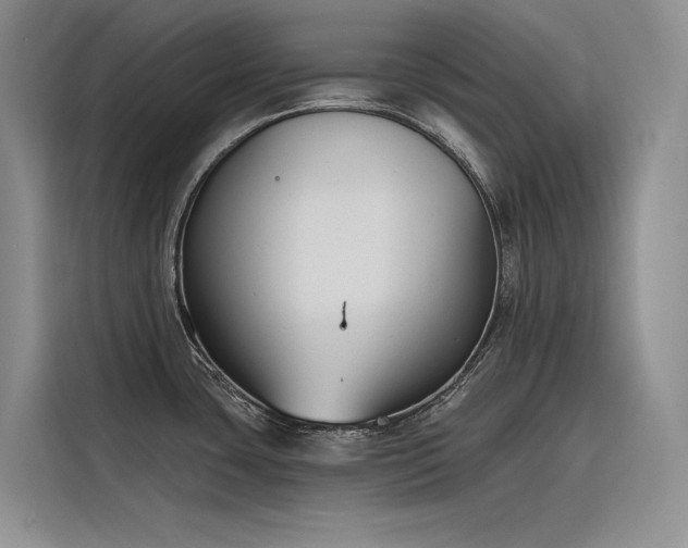 X0000116381435200912021511