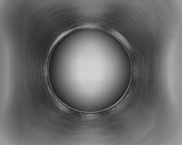 X0000116381436200912021511