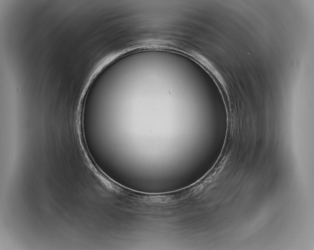 X0000116381437200912021511