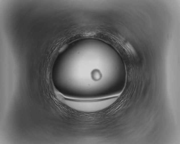 X0000116381441200912021510