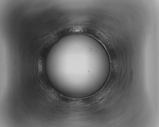 X0000116381442200912021510