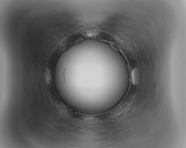 X0000116381443200912021510