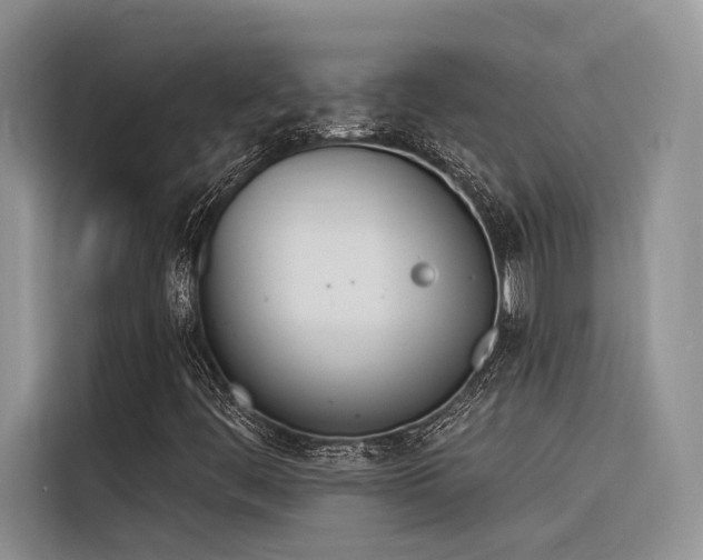 X0000116381444200912021510