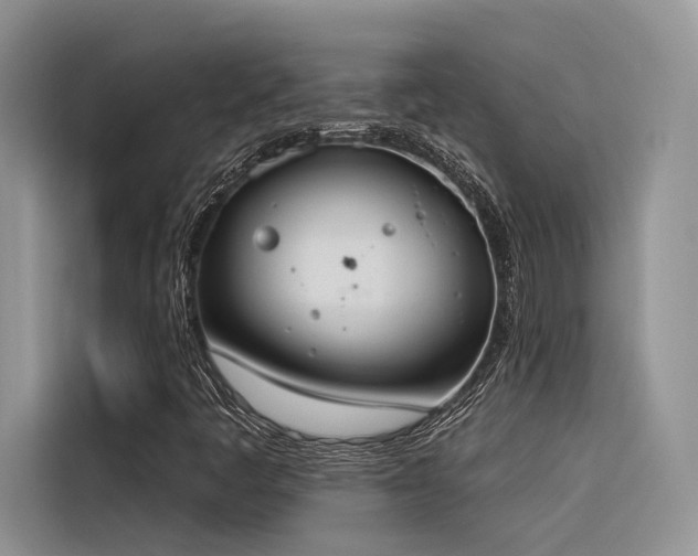 X0000116381445200912021510