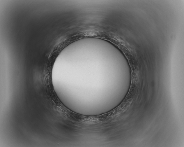 X0000116381446200912021510