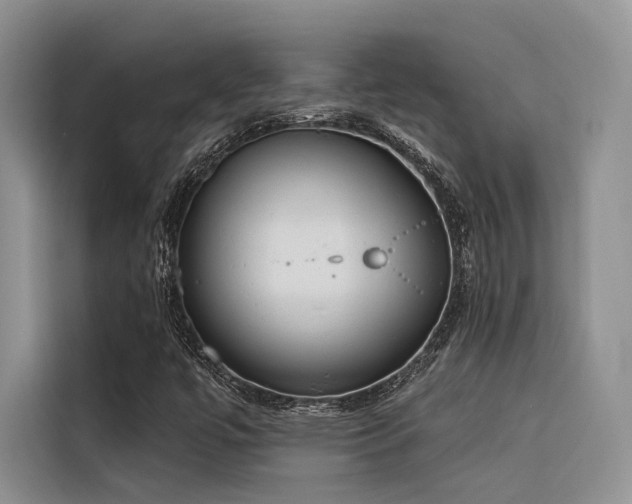 X0000116381447200912021510