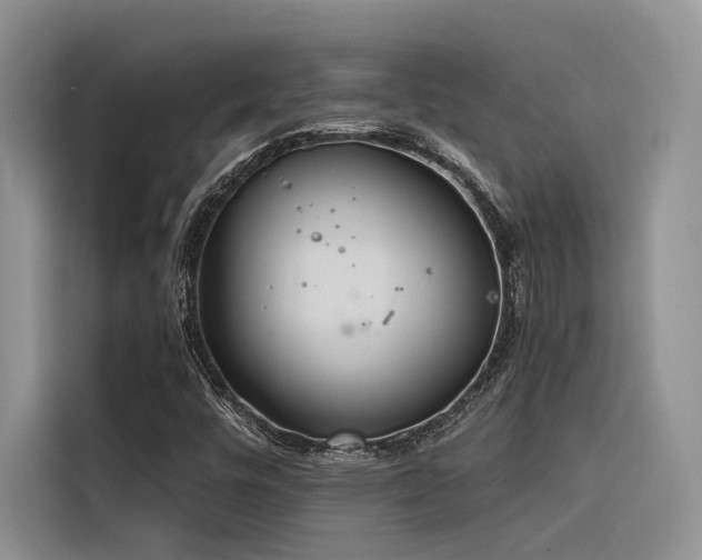 X0000116381448200912021510