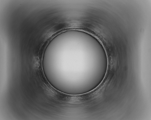 X0000116381449200912021510