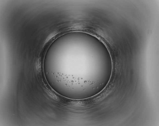 X0000116381450200912021510