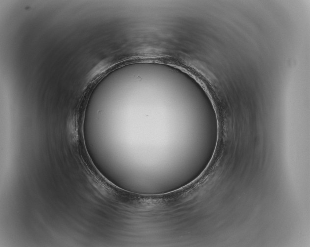 X0000116381451200912021510