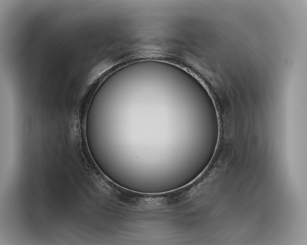 X0000116381453200912021510