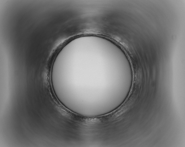 X0000116381454200912021510