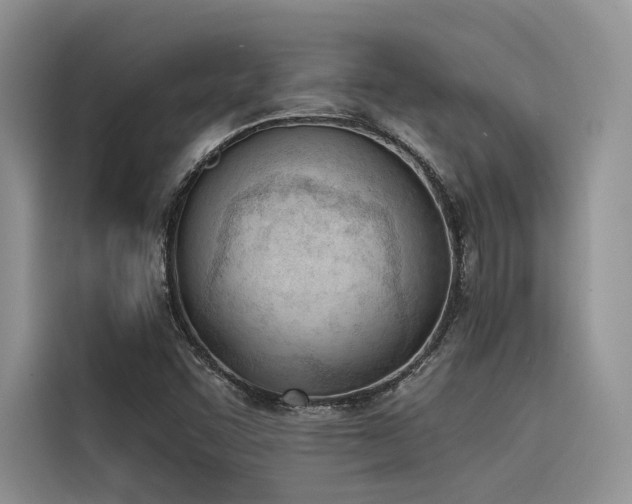X0000116381455200912021510