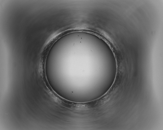 X0000116381456200912021510