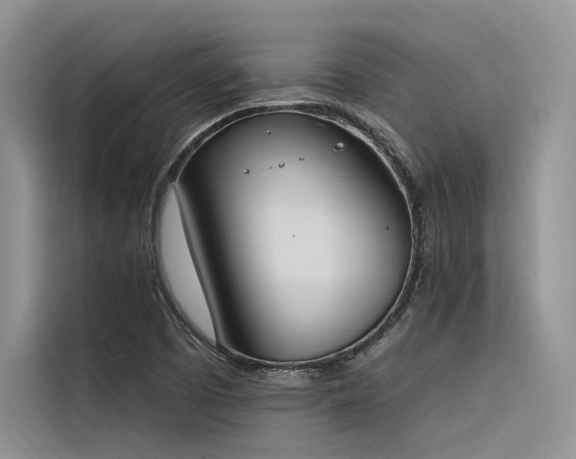 X0000116381457200912021510