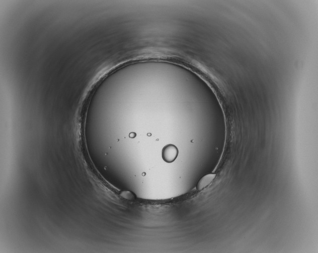 X0000116381459200912021510