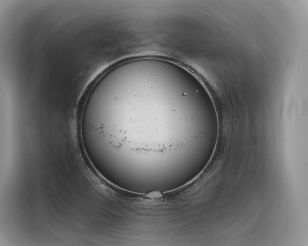 X0000116381460200912021510